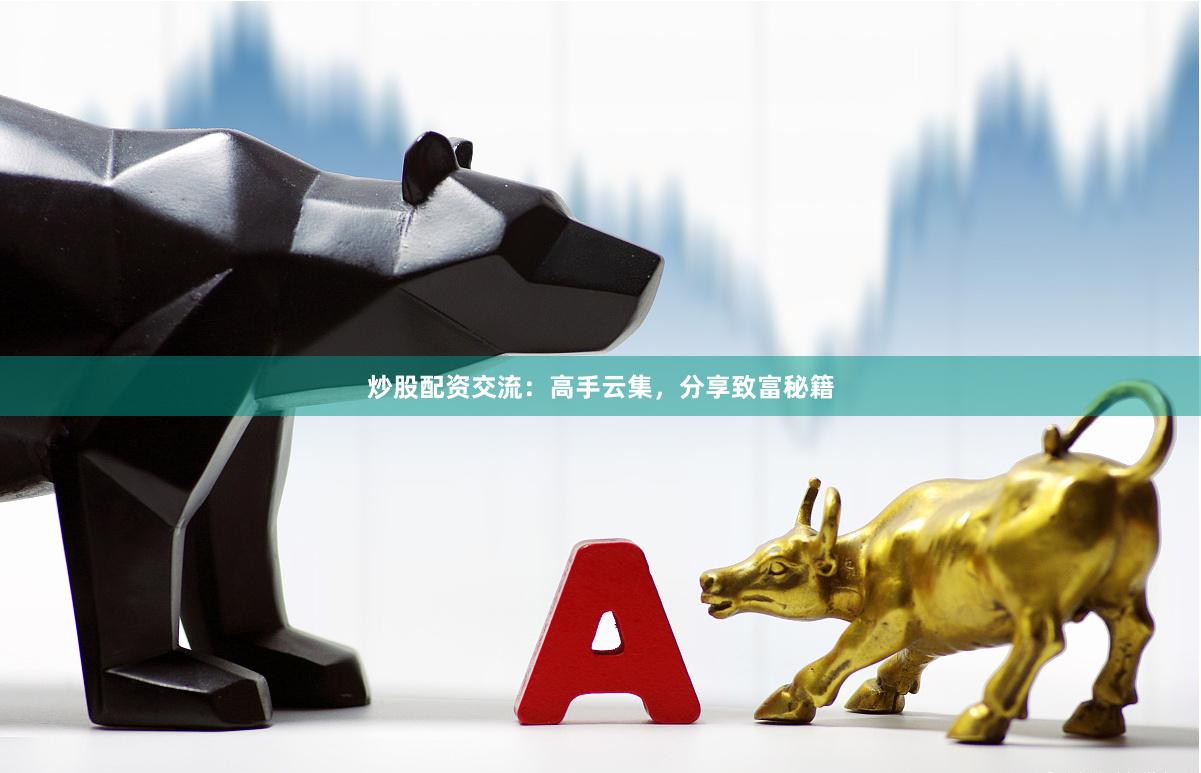 炒股配资交流：高手云集，分享致富秘籍