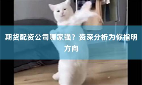 期货配资公司哪家强？资深分析为你指明方向